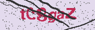 Captcha認証コード